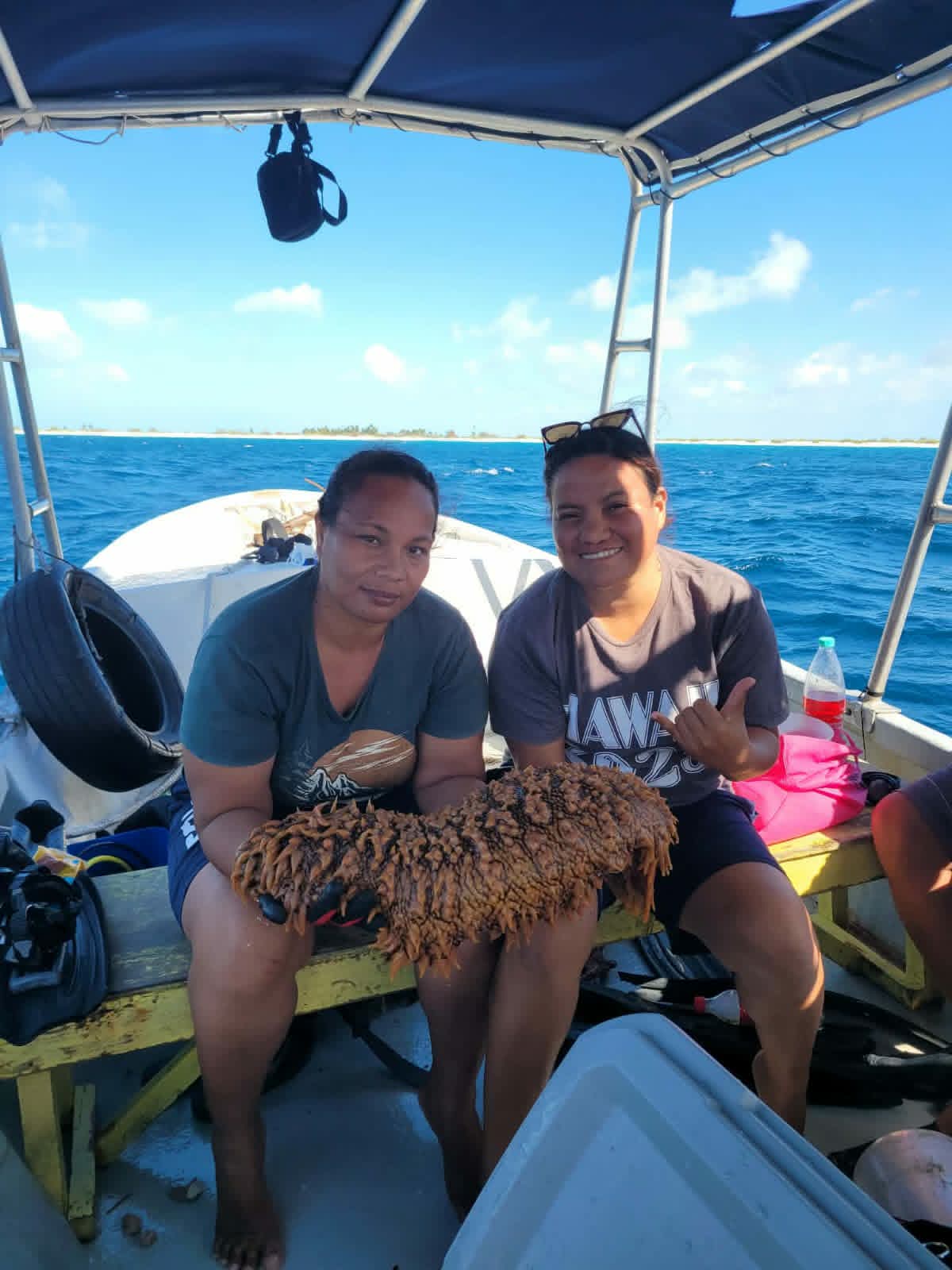 Sea Cucumber Stock Assessments Support Sustainable Fisheries