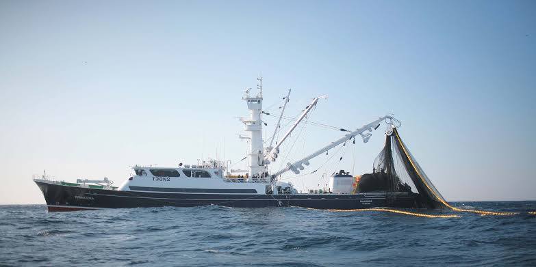 MFOR Rings in 2025 with Record $210.2 Million Fishing License Revenue