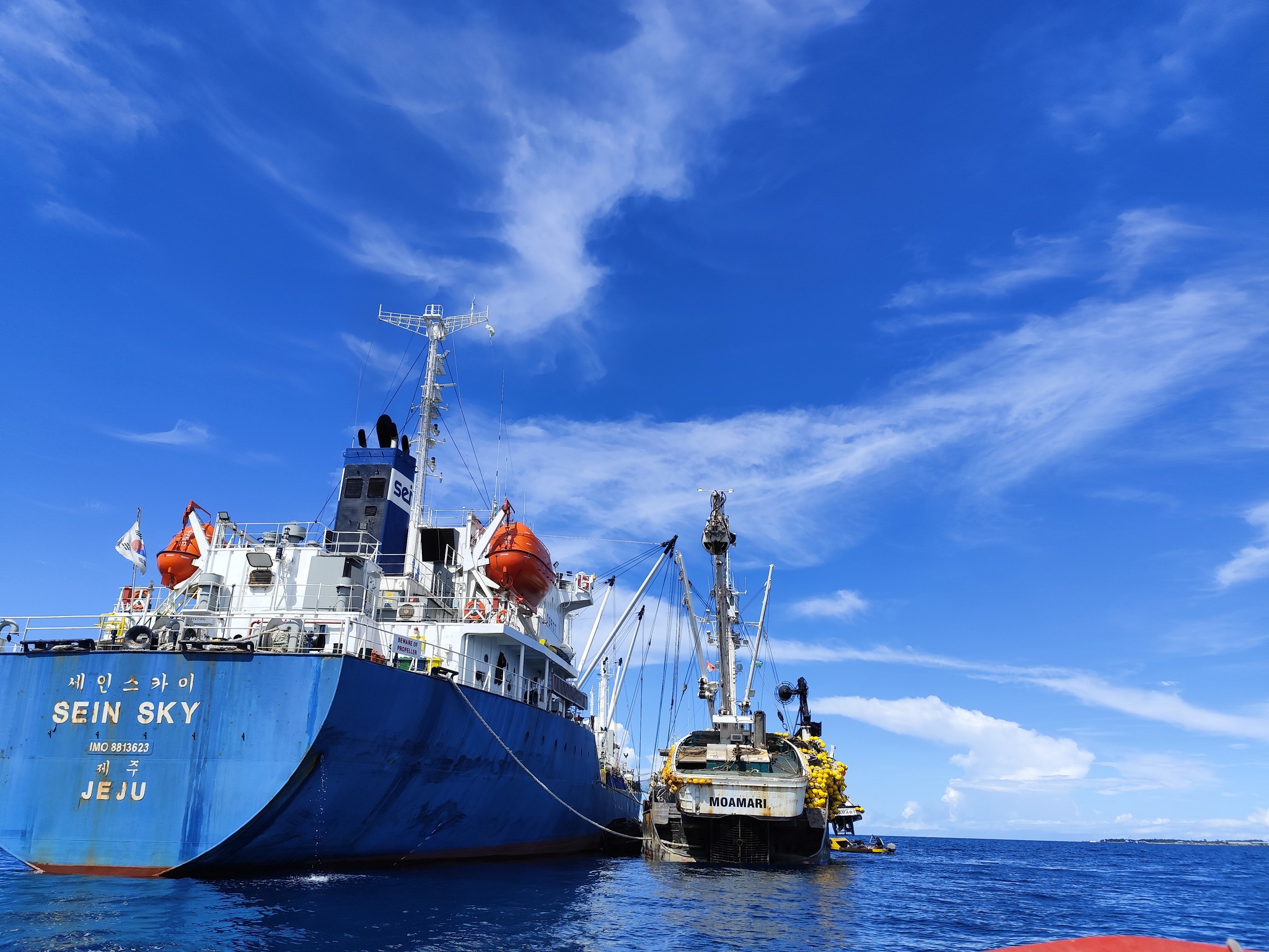 Ensuring Excellence: Seafood Safety Inspections Kick Off the New Year