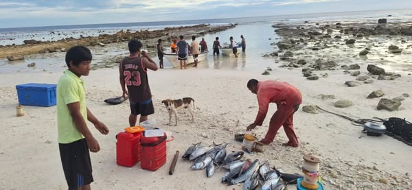 Data for the Future: Arorae Fishing Practices Documented via Ikasavea App