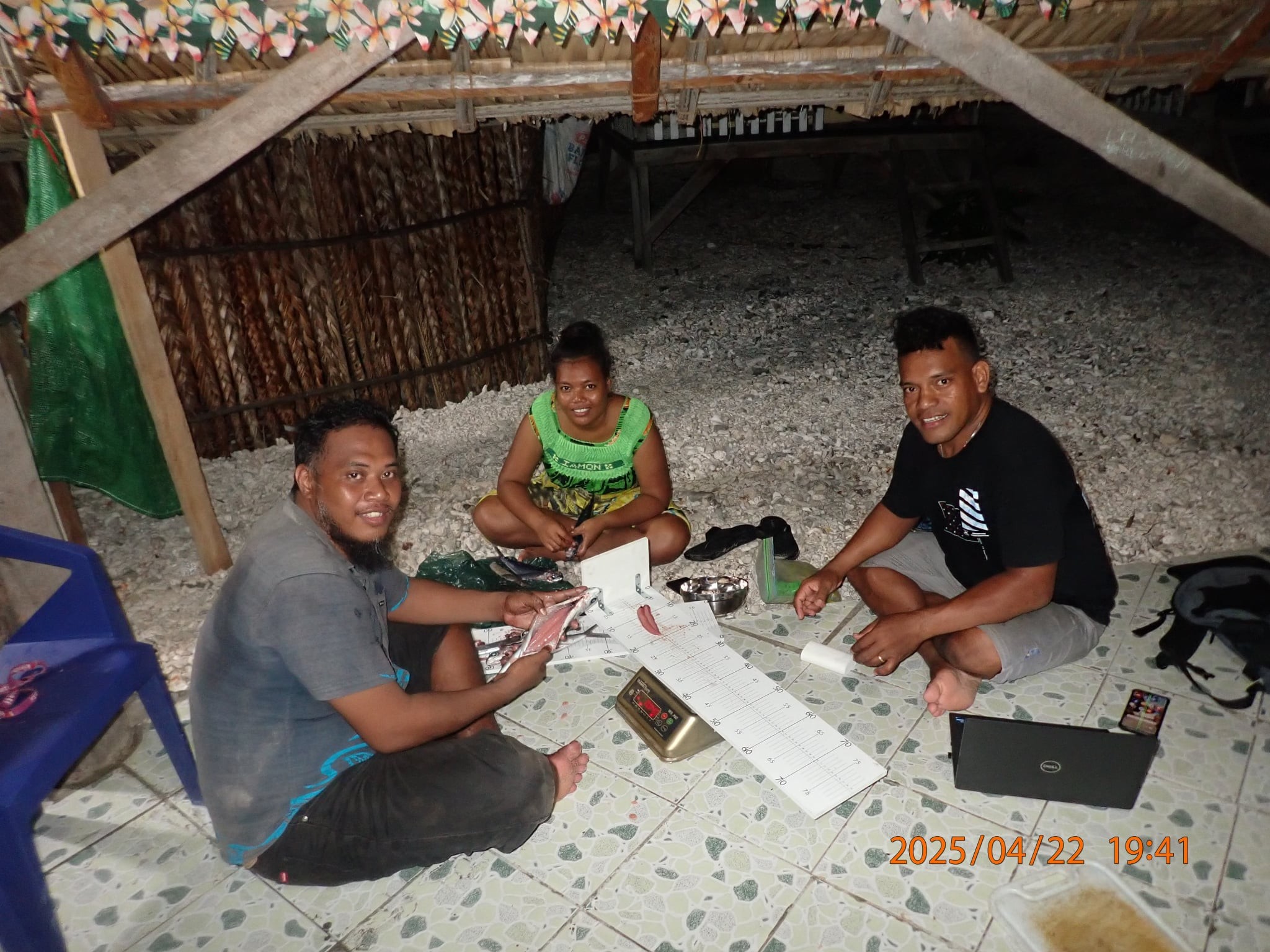 Fisheries Insights from Nikunau: Survey Highlights Key Coastal Trends