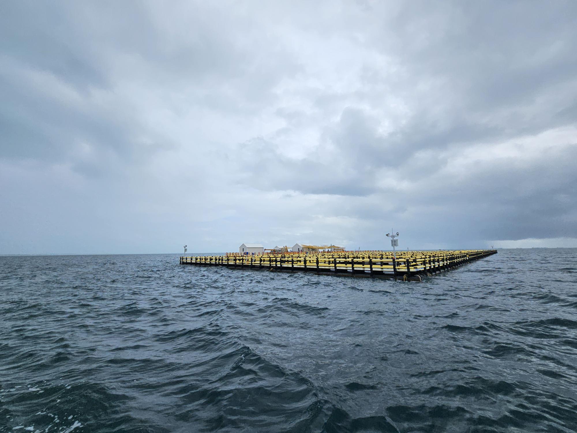 A New Era for Aquaculture in Kiribati: KIFL Platform Inaugurated