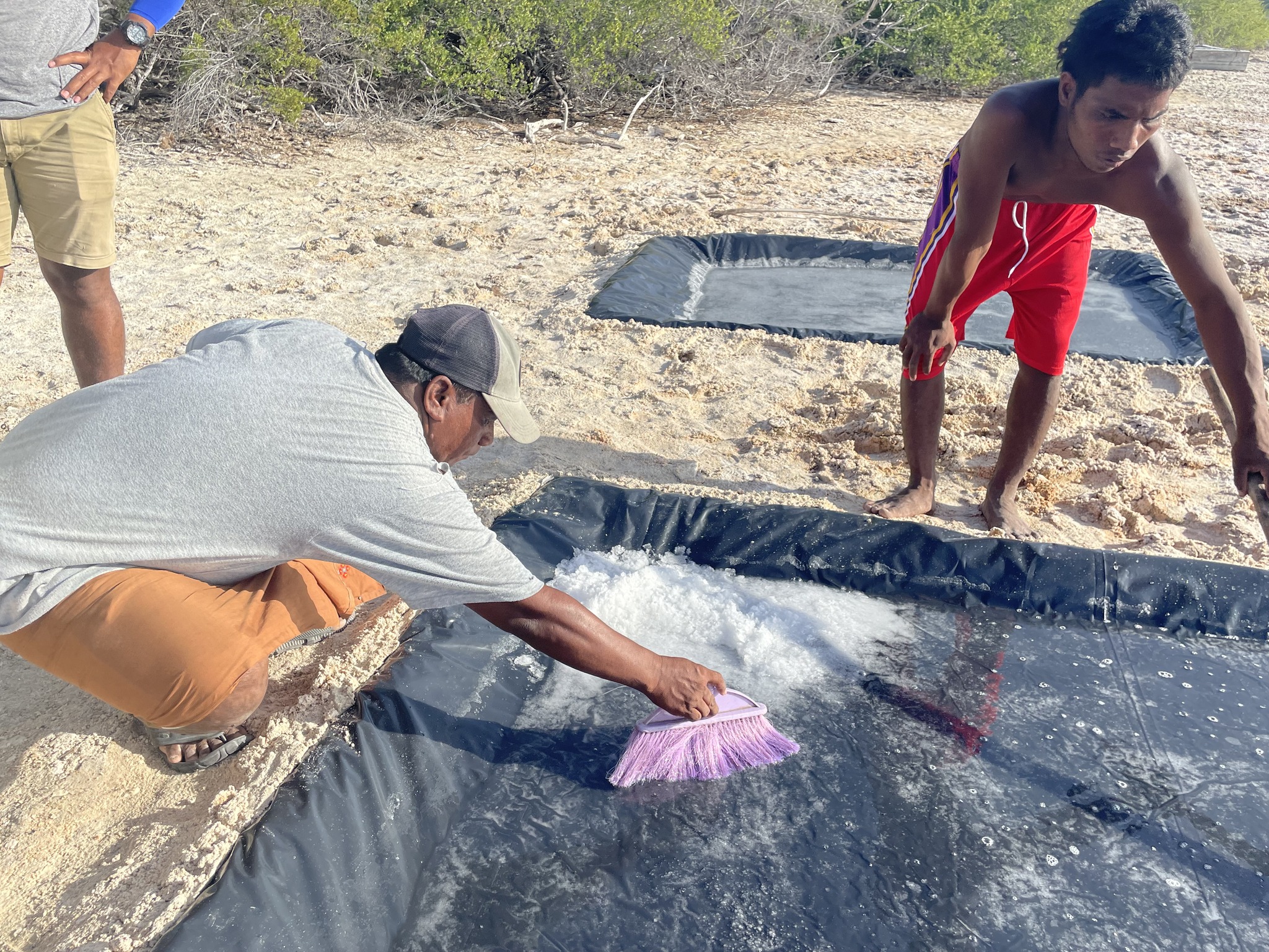 Solar Salt Project Launched on Beru Island with MFOR Partnership