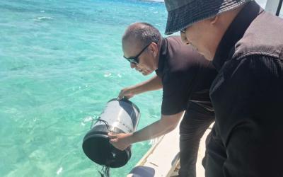 10,000 Milkfish Fry Released to Strengthen Tarawa’s Fisheries