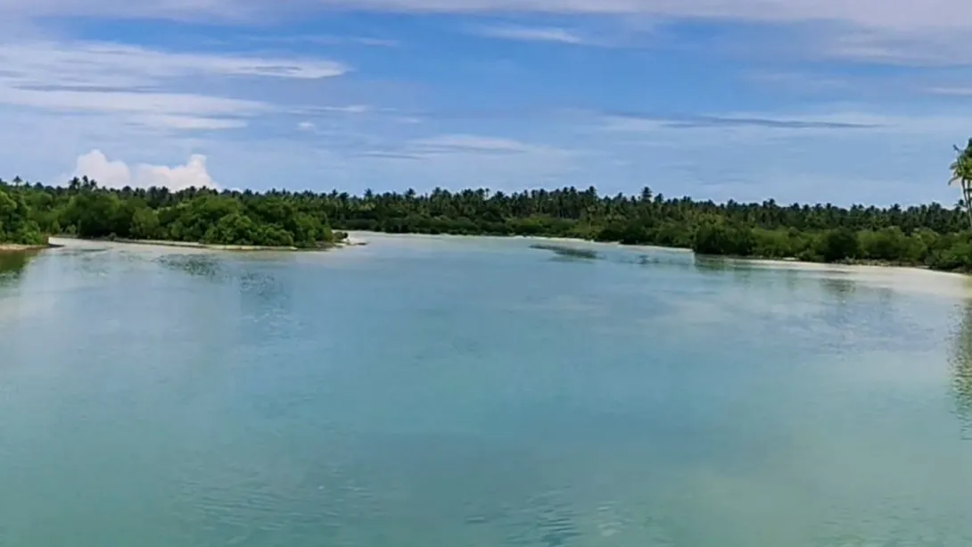 Makin Takes a Big Step Toward Sustainable Fish Farming